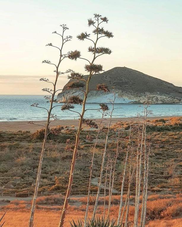 Magnifica Casa Con Encanto En Agua Amarga 아쿠아아마르가 외부 사진